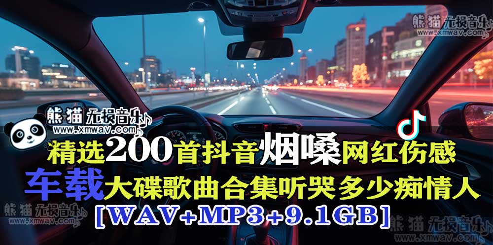 精选200首抖音烟嗓网红伤感车载大碟歌曲合集